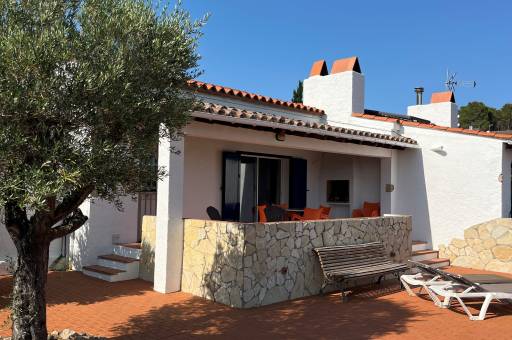 Image of Palmeras Estartit A