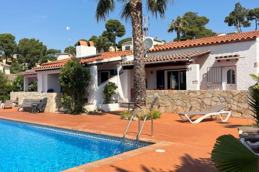 Image of Palmeras Estartit C